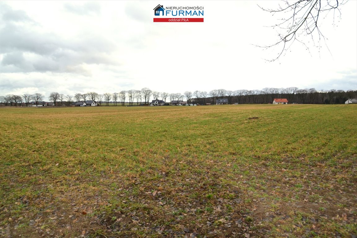 Działka 1650 m² pod zabudowę w Zelgniewie blisko lasu Zelgniewo  1 650m2 Foto 1