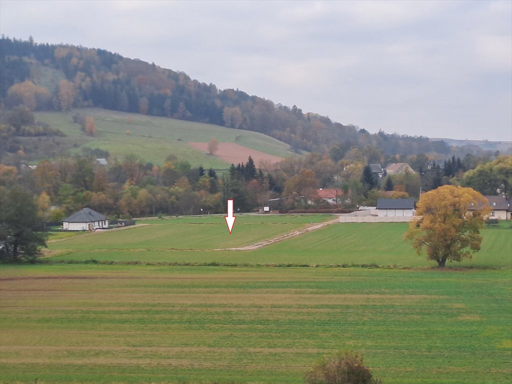 Działka budowlana na sprzedaż Ścinawka Górna, Ścinawka Górna  1 000m2 Foto 2