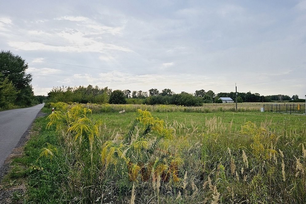 Działka budowlana na sprzedaż Grójec  830m2 Foto 1