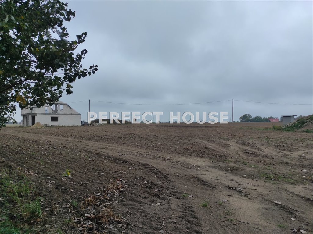 Działka 3037 m² pod dom i biznes w Grzebienisku - zapraszam Grzebienisko  3 037m2 Foto 1