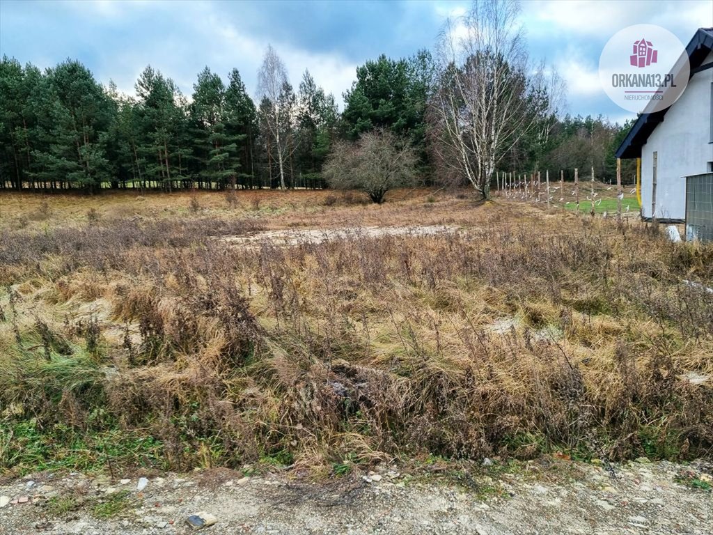 Działka rolna na sprzedaż Gągławki, Gągławki  3 002m2 Foto 2