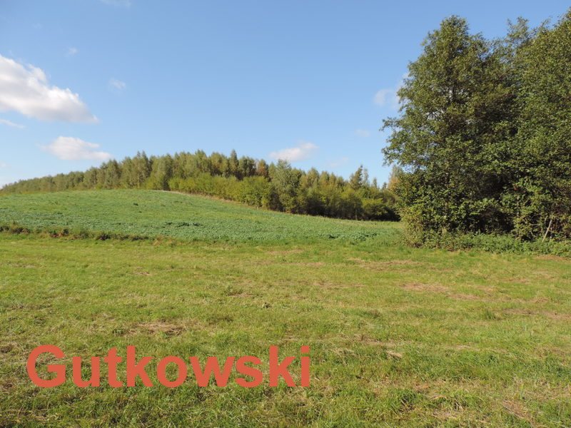 Działka rolna na sprzedaż Lekarty, Gmina Nowe Miasto Lubawskie  3 422m2 Foto 10