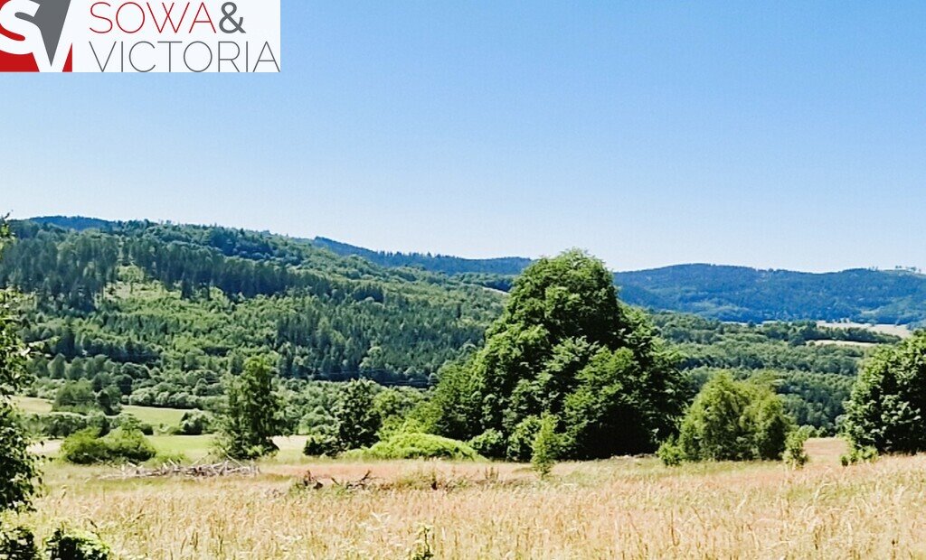 Malownicza działka 3002 m² w Gór Sowich – spokój i natura Kolce  3 002m2 Foto 1
