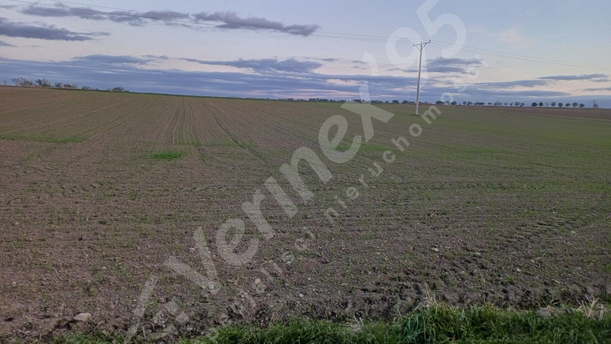 Działka budowlana na sprzedaż Jawor  2 375m2 Foto 4