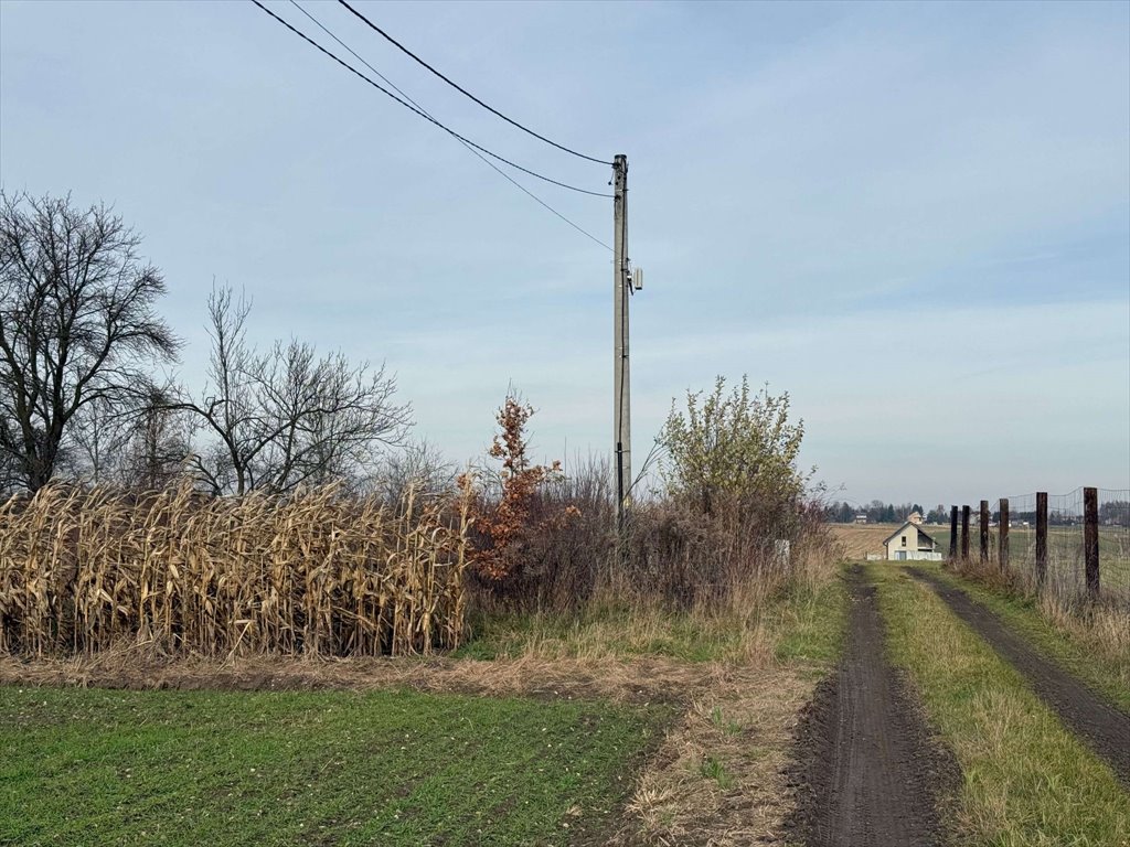 Działka 845 m² z projektem domu w zielistkach, ogrodzona Pińczyce, Pińczyce  845m2 Foto 1