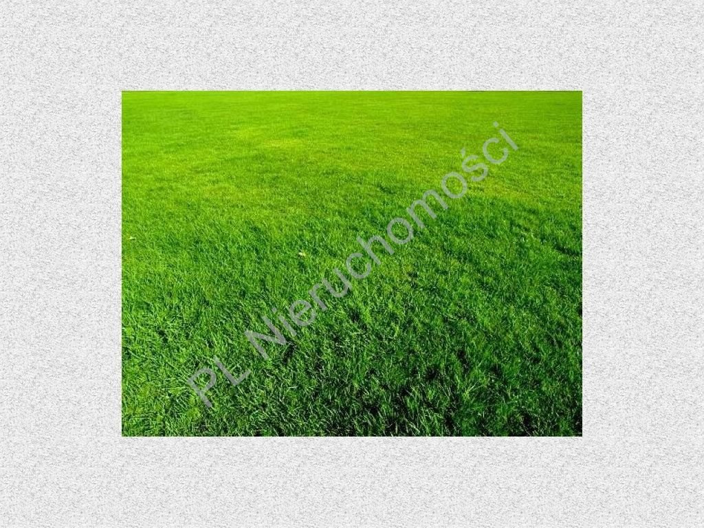 Działka 1860 m² z budynkiem, media, ogrodzona, Magdalenka Magdalenka  1 860m2 Foto 1