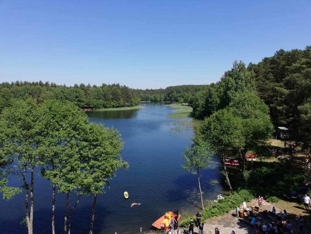 Działka leśna z prawem budowy na sprzedaż Byszyno  190 000m2 Foto 4