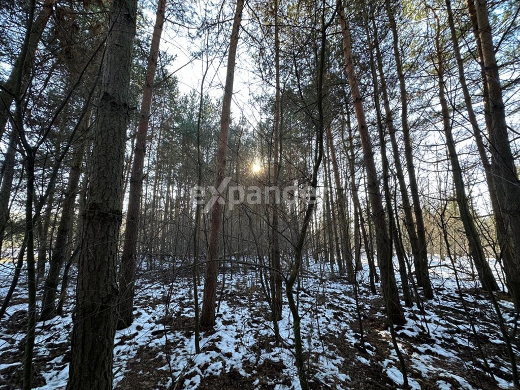 Działka budowlana na sprzedaż Częstochowa  10 685m2 Foto 8