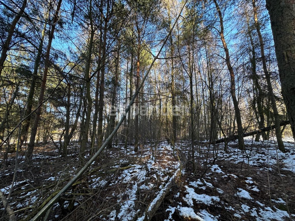 Działka budowlana na sprzedaż Częstochowa  10 685m2 Foto 5