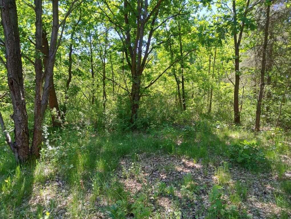 Działka budowlana na sprzedaż Józefów, Jaglana  1 500m2 Foto 8