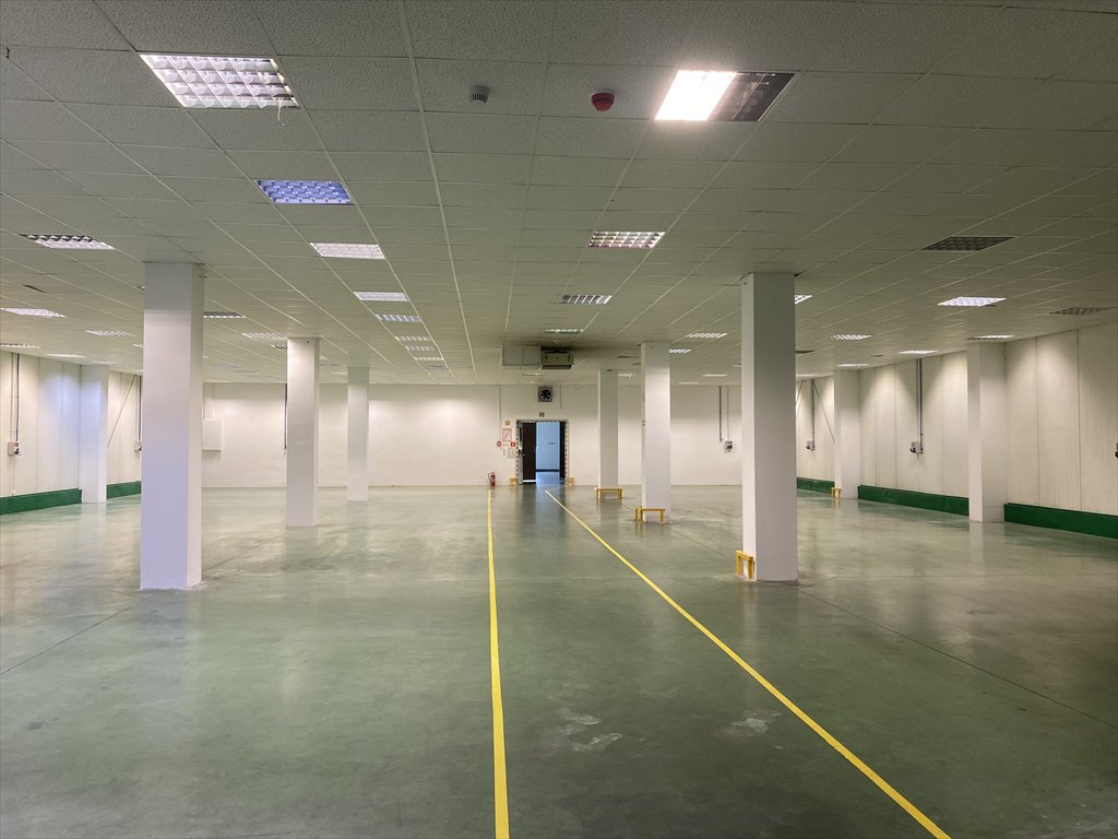 Lokal użytkowy na wynajem Piaseczno, Puławska 34  1 600m2 Foto 4