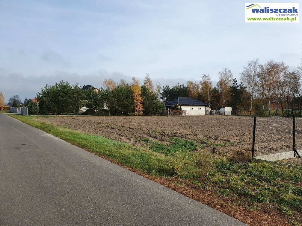 Działka budowlana na sprzedaż Krężna 3 000m2 Foto 1 Działka budowlana na sprzedaż Krężna 3 000m2 Foto 1