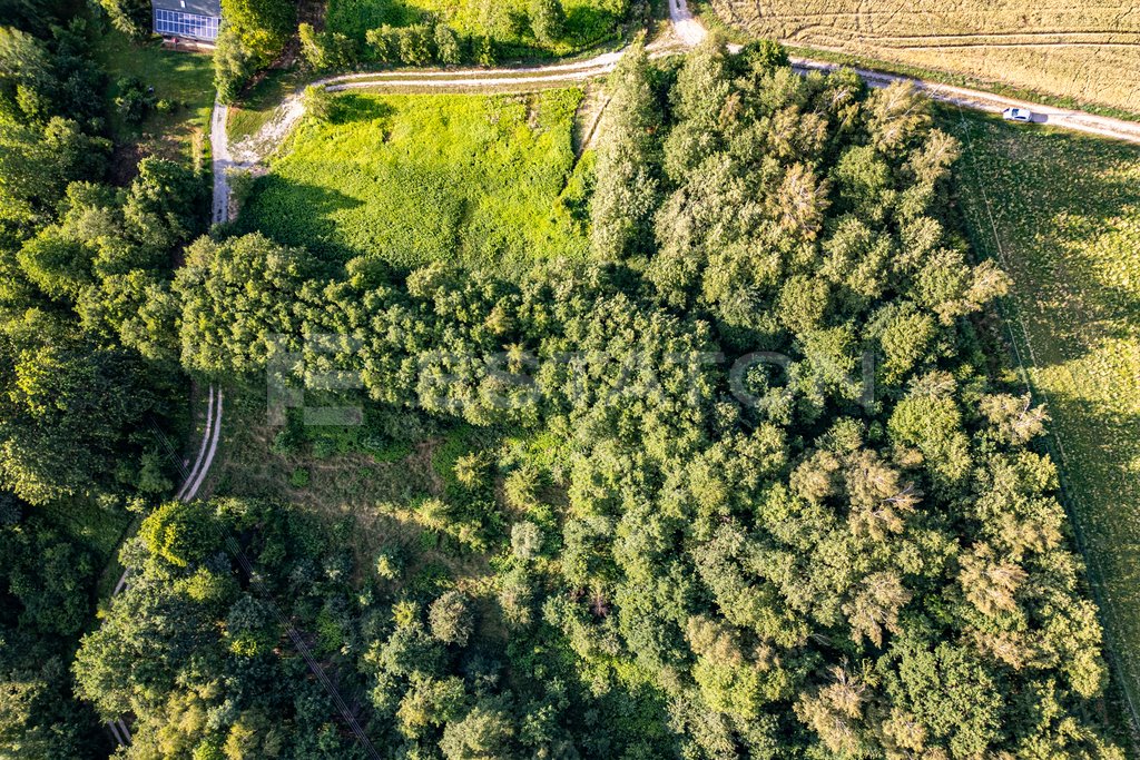 Zapraszam do zakupu działki 1,28 ha z możliwością zabudowy i rekreacji Nowy Borek  12 793m2 Foto 1