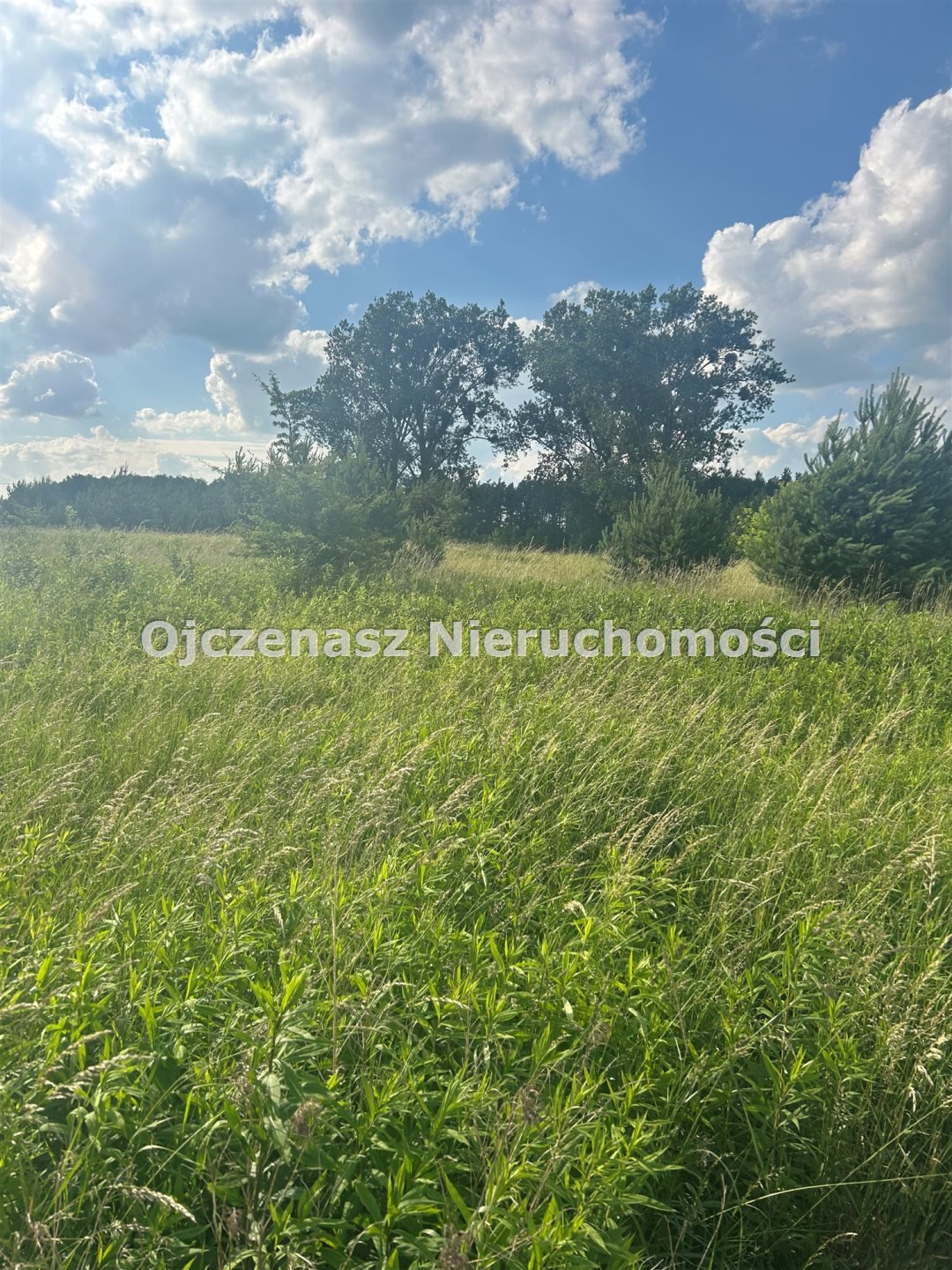 Inwestycyjne działki w Żołędowie, 2 ha, dostępne od 150 zł/m2 Żołędowo  5 155m2 Foto 1