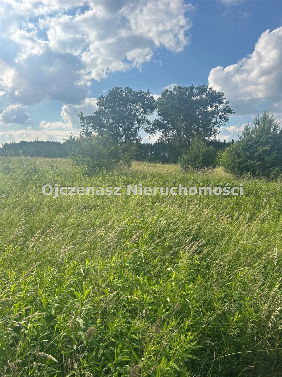 Działka inna na sprzedaż Zławieś Mała  3 224m2 Foto 3