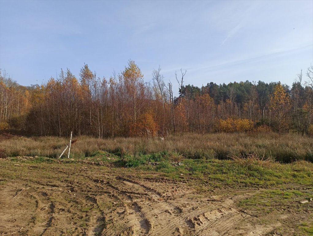 Działka budowlana na sprzedaż Leśniewo, Pucka  4 665m2 Foto 3