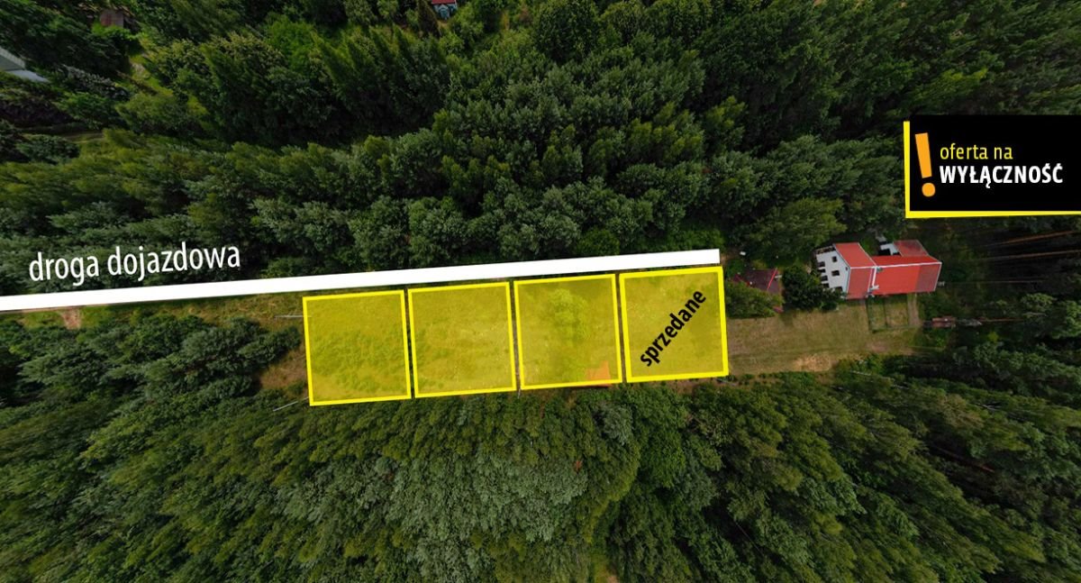 Zapraszam do zakupu działki 800 m² w lesie pod Kielcami Kranów  800m2 Foto 1