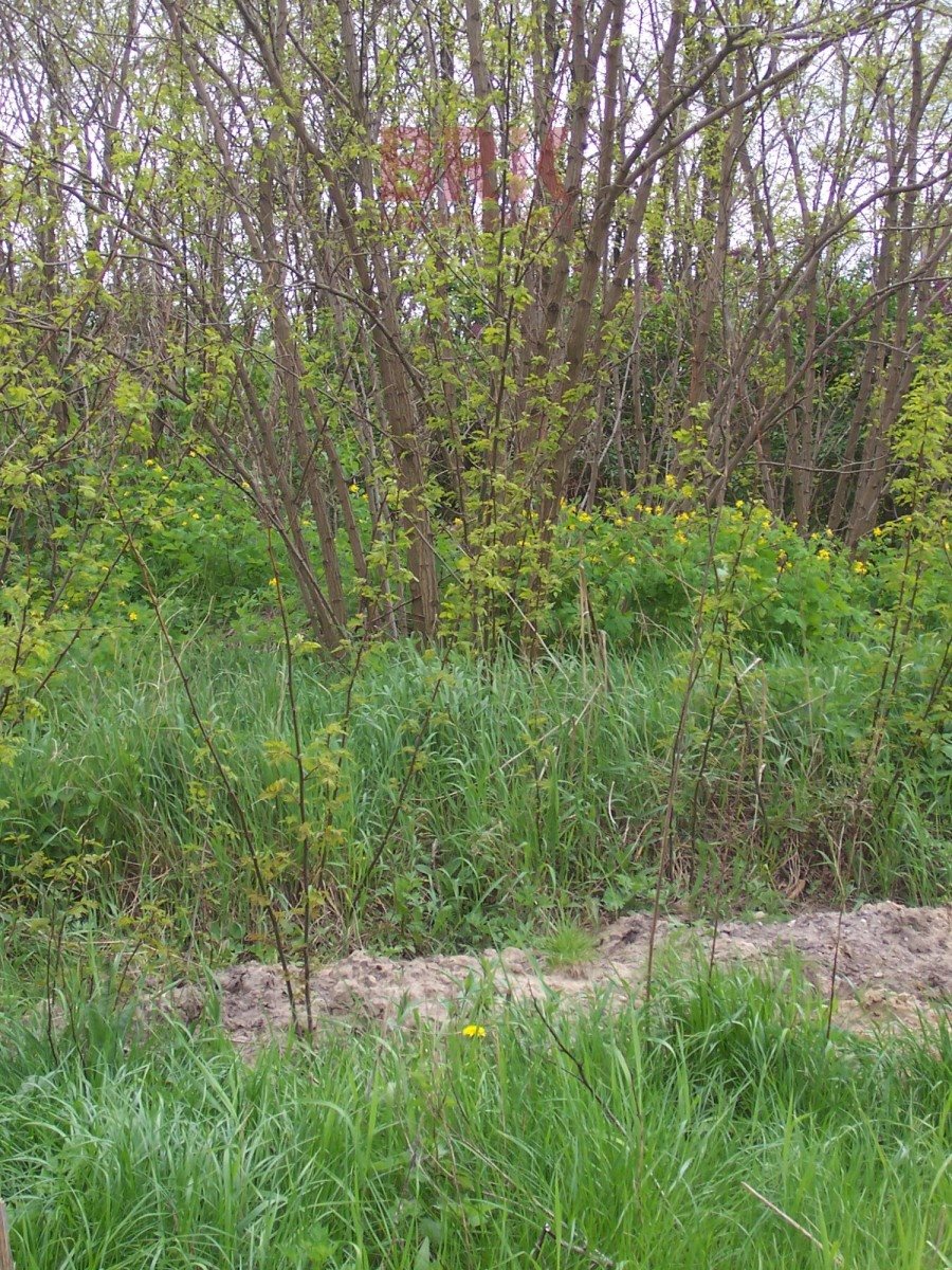 Działka budowlana na sprzedaż Słupno, Jana Pawła II 1 900m2 Foto 1 Działka budowlana na sprzedaż Słupno, Jana Pawła II 1 900m2 Foto 1