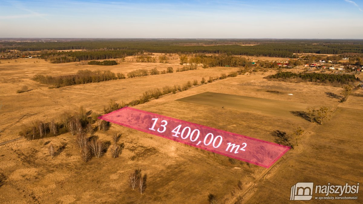 Działka rolna 13 400 m² z drzewami i dostępem do gazu Racimierz  13 400m2 Foto 1