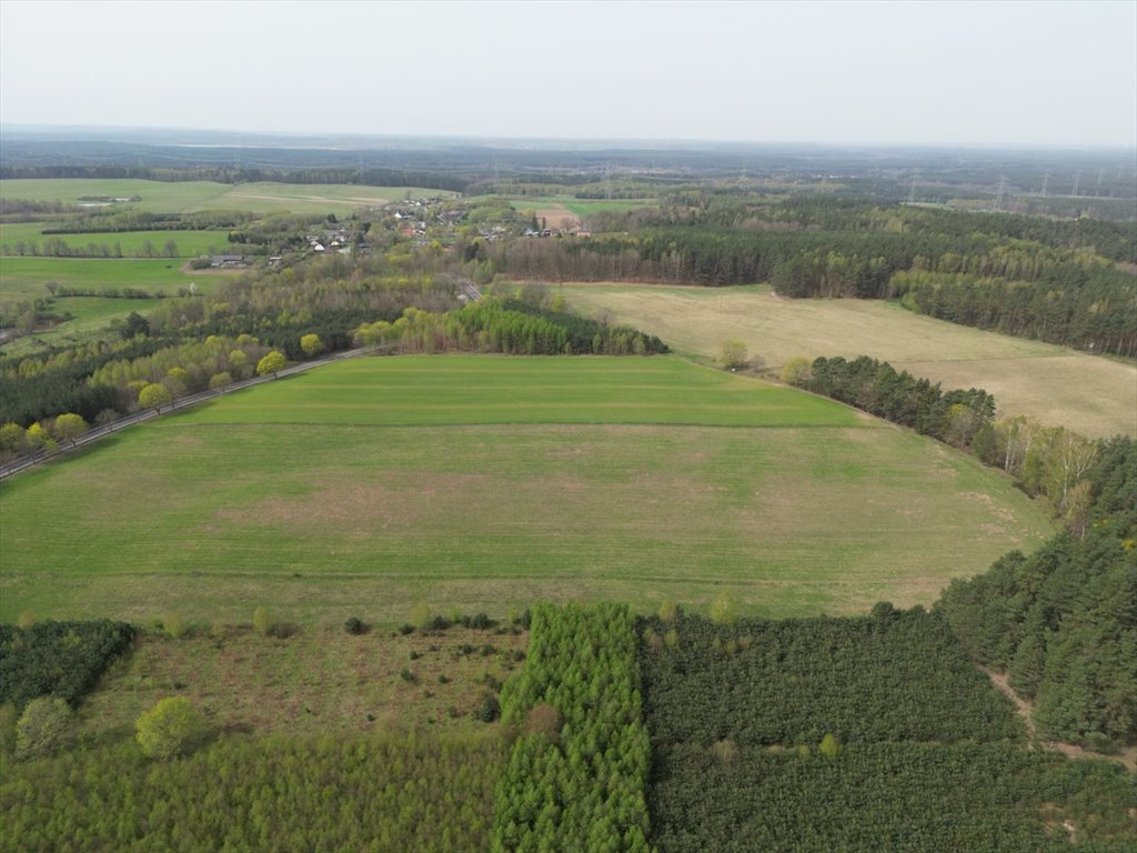 Działka rolna na sprzedaż Barwino  11 300m2 Foto 5