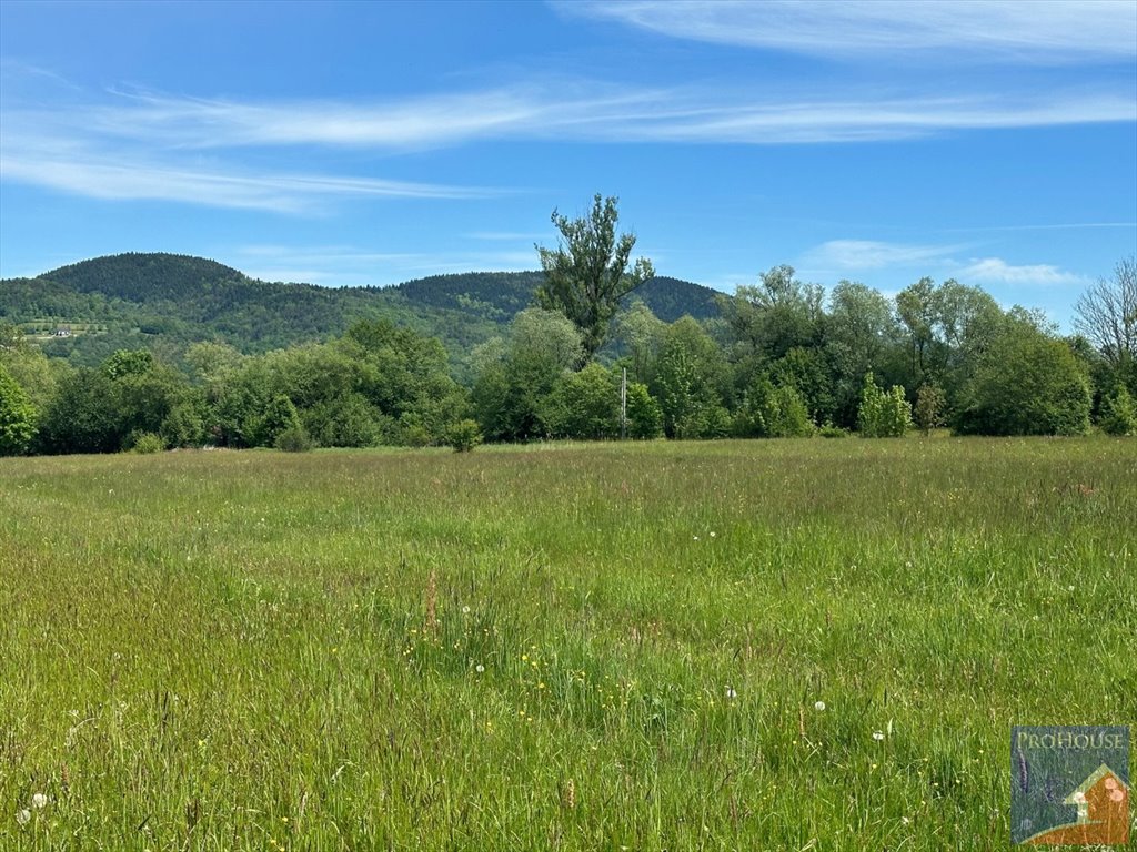 Działka budowlana na sprzedaż Podłopień  4 058m2 Foto 8