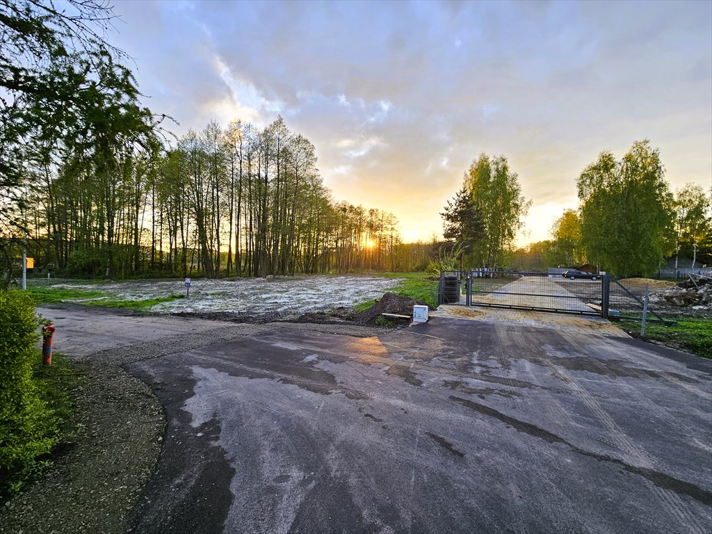 Działka leśna z prawem budowy na sprzedaż Zielona Góra, Wiesława  4 200m2 Foto 1