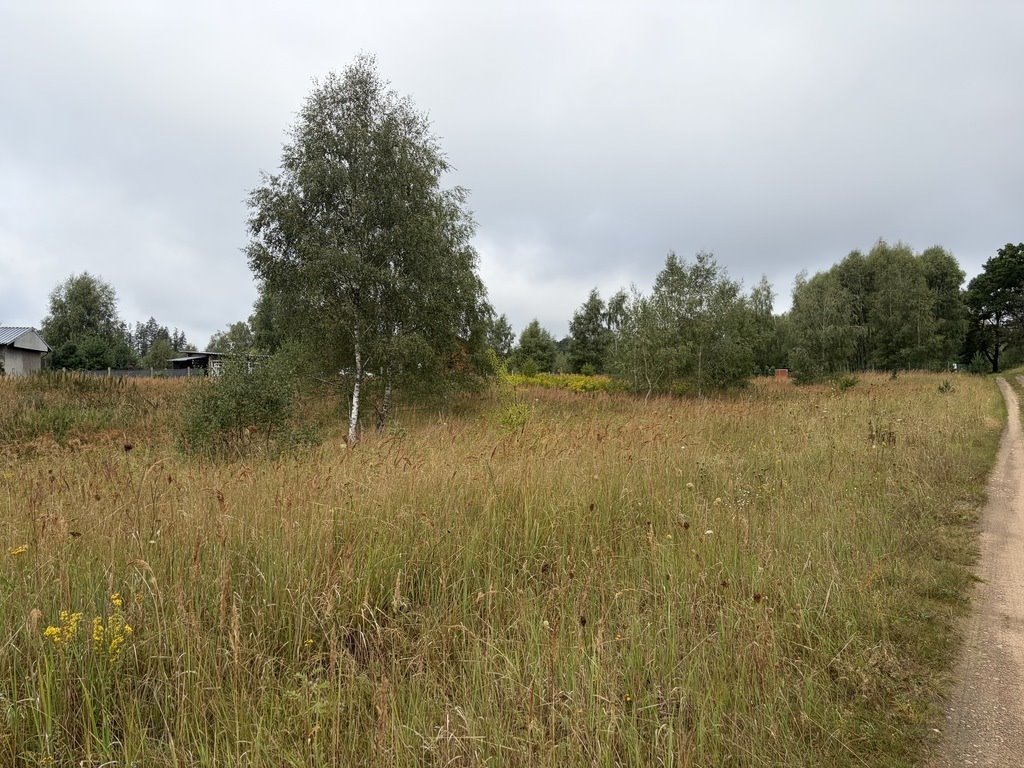 Zapraszam do zakupu działki 3001 m² w Storkowie Ińsko  3 000m2 Foto 1