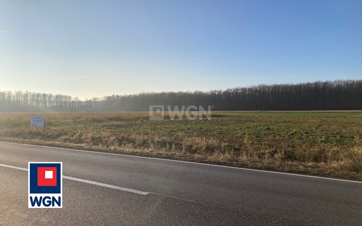 Działka inwestycyjna na sprzedaż Sobótka, Sobótka  8 500m2 Foto 6