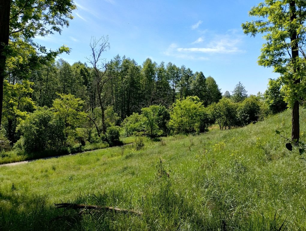 Działka 1500 m² z widokiem na Odrę i las polecam Stary Błeszyn  1 500m2 Foto 1