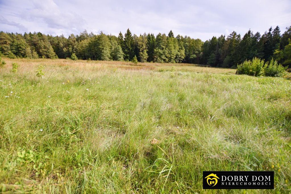 Działka rolna na sprzedaż Szczebra  1 800m2 Foto 1