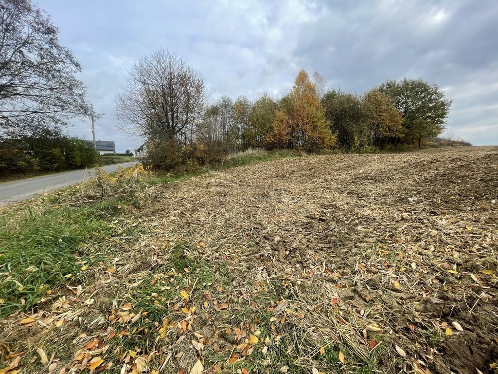 Działka budowlana na sprzedaż Dobczyce, Skrzynecka  7 600m2 Foto 3