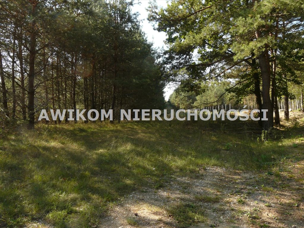 Działka leśna na sprzedaż Przewodowice  16 623m2 Foto 12