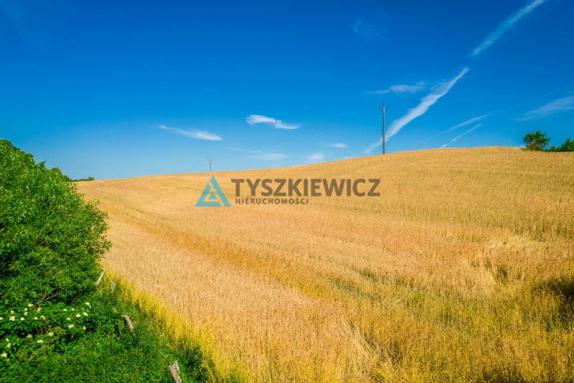 Działka siedliskowa na sprzedaż Stary Wiec  6 140m2 Foto 6