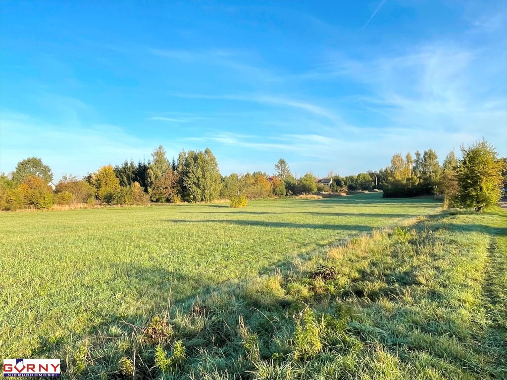 Działka inna na sprzedaż Piotrków Trybunalski  6 377m2 Foto 5