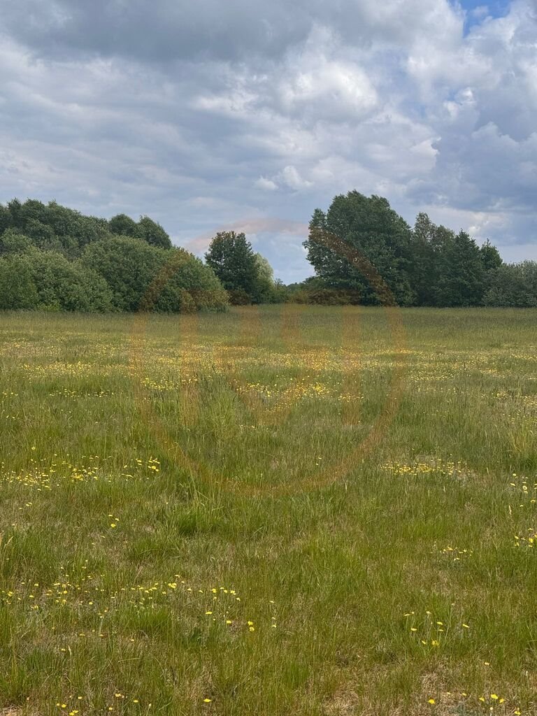 Działka 3099 m² z warunkami zabudowy, las i jezioro Regiel  3 099m2 Foto 1