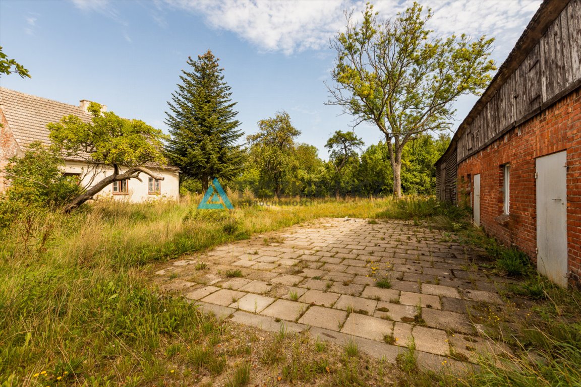 Działka budowlana na sprzedaż Borkowo Lęborskie  7 937m2 Foto 10