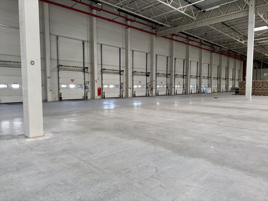 Magazyn na wynajem Ołtarzew, Poznańska  4 000m2 Foto 5