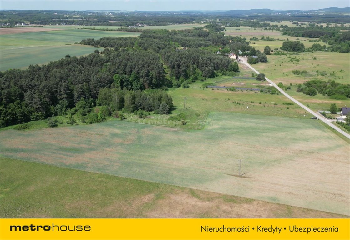 Działka inna na sprzedaż Ostrów  39 500m2 Foto 2