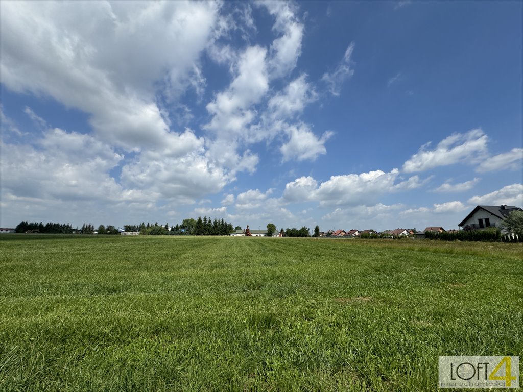 Działka budowlana na sprzedaż Borzęcin  2 600m2 Foto 10