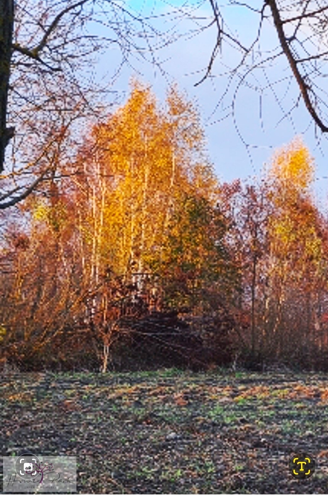 Działka budowlana na sprzedaż Feliksów  1 240m2 Foto 13