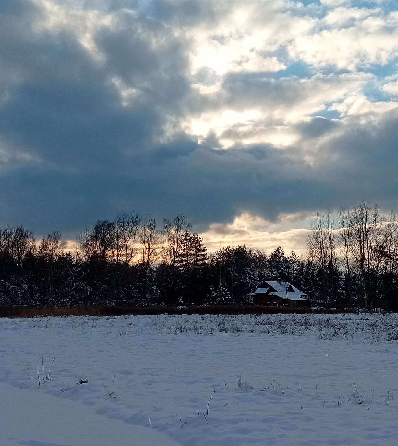 Działka budowlana na sprzedaż Tworóg Mały, Brzozowa  800m2 Foto 8