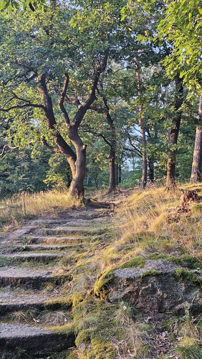 Mieszkanie czteropokojowe  na sprzedaż Sobótka  82m2 Foto 5