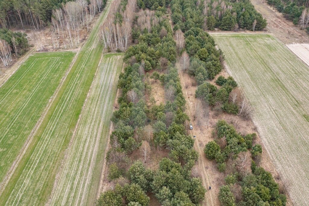 Działka budowlana na sprzedaż Królewo  3 000m2 Foto 5