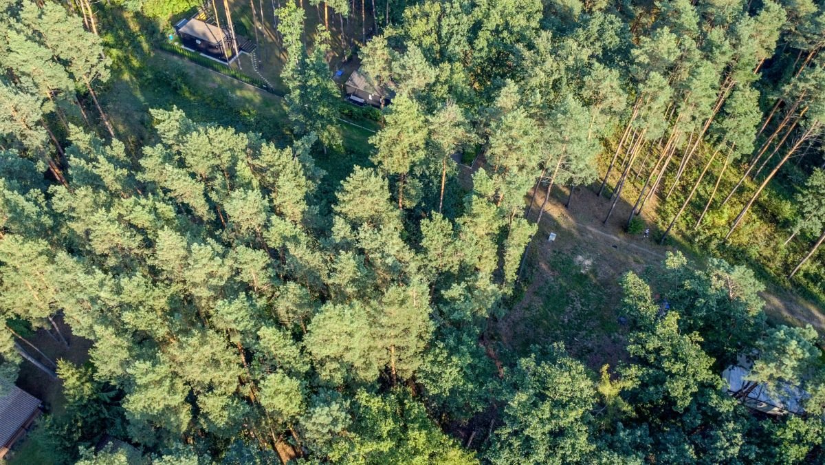 Działka rekreacyjna na sprzedaż Brańszczyk, Brańszczyk-Nakieł, Gajowa  1 004m2 Foto 12