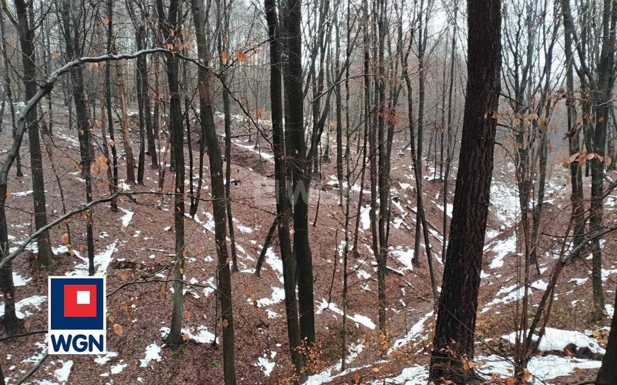 Działka leśna na sprzedaż Płaza, Płaza Dolna  8 811m2 Foto 1