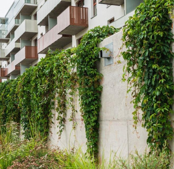 Mieszkanie trzypokojowe na sprzedaż Wrocław, Fabryczna, Grabiszyn  60m2 Foto 5