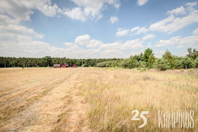 Działka rolna na sprzedaż Łazy, Kampinos, oferta 1649 10 000m2 Foto 1 Działka rolna na sprzedaż Łazy, Kampinos, oferta 1649 10 000m2 Foto 1