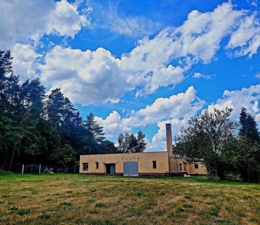 Lokal użytkowy na wynajem Raków, Raków, Raków 12a  420m2 Foto 7