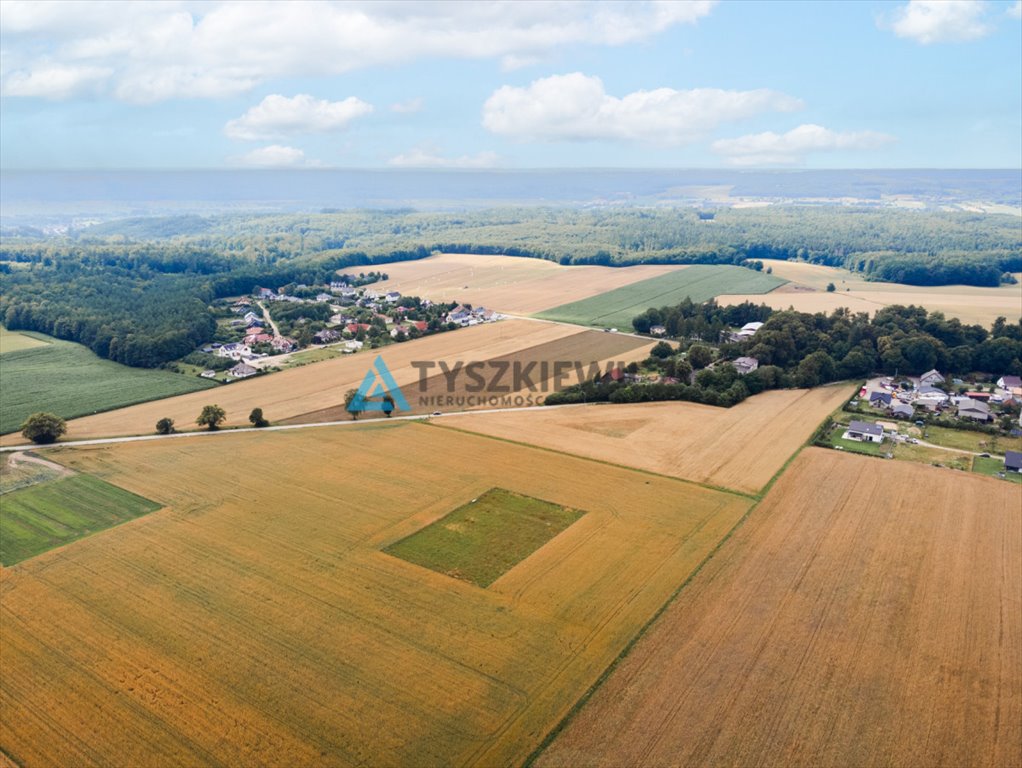 Działka budowlana na sprzedaż Góra, Słowińska  3 088m2 Foto 8