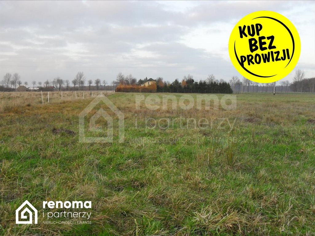 Działka inna na sprzedaż Domasławice  5 980m2 Foto 2